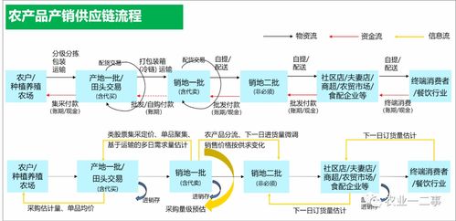 農(nóng)產(chǎn)品供應(yīng)鏈的深層解析 從田間到餐桌的系統(tǒng)工程