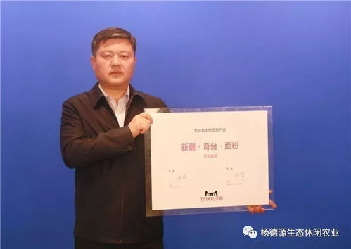 游奇臺(tái)金古城，品華夏第一面 供應(yīng)鏈管理賦能文旅餐飲新體驗(yàn)
